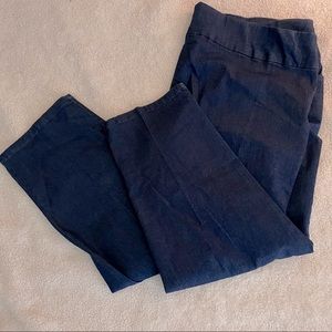 Alfred Dunner Women’s Denim Pants Size 24W